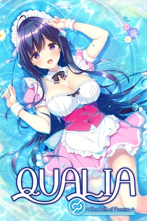 QUALIA ~The Path of Promise~ poster image on Steam Backlog