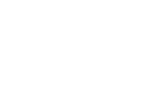 Hide & Chick Logo