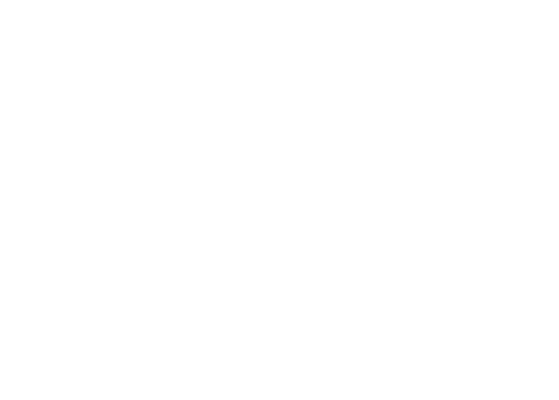 Project Luna Logo