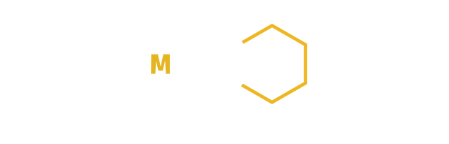 MiniTrans Logo