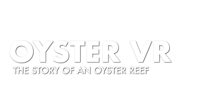 Oyster VR Logo
