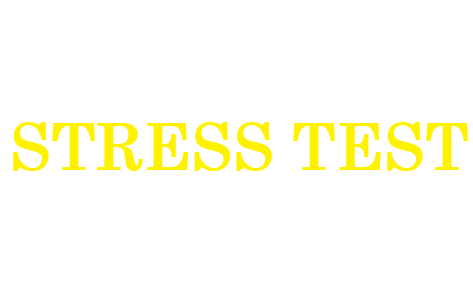 StressTest Logo