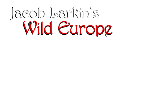 Jacob Larkin's Wild Europe Logo