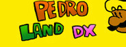 Pedro Land DX System Requirements