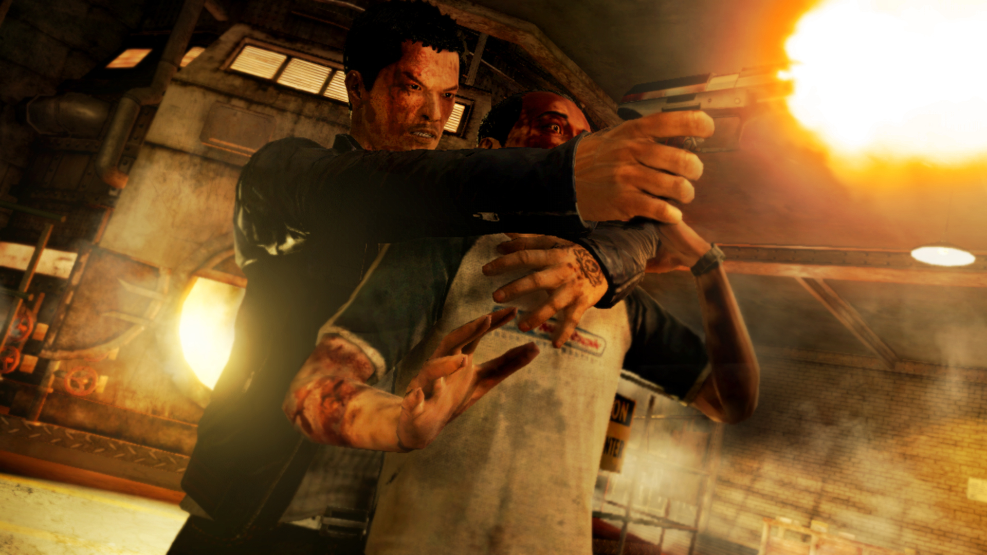 sleeping dogs download