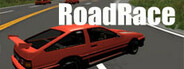 RoadRace System Requirements