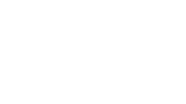 Search 4 Bigfoot Logo