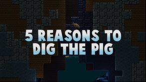 5 Reasons to Dig the Pig