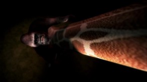 Wildlife Park 2 - Intro