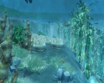 underwater