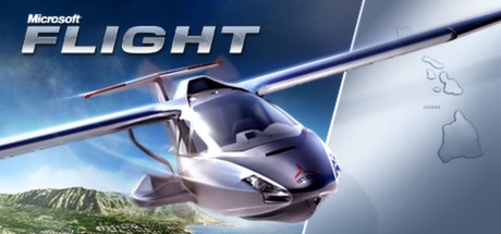 Microsoft Flight cover art