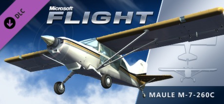Microsoft Flight - Maule M-7-260C