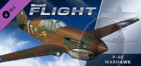 Microsoft Flight: P-40