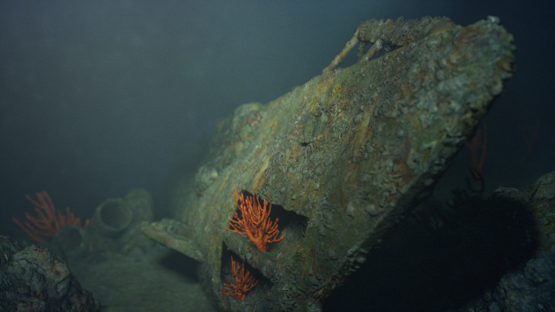 Hi Poker 3DTexas Holdem System Requirements Can I Run It