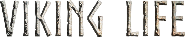 Viking Life Logo