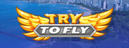 Try to Fly System Requirements