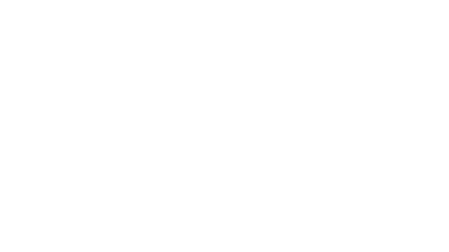 Spiderbro Logo