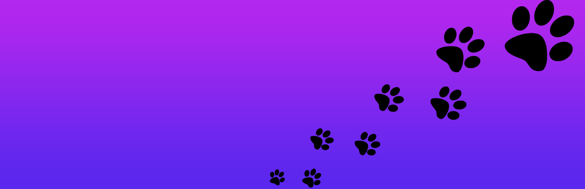 Roxy Raccoon 2: Topsy-Turvy