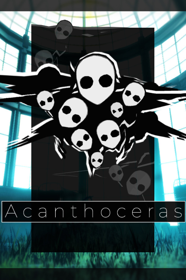 Acanthoceras for steam