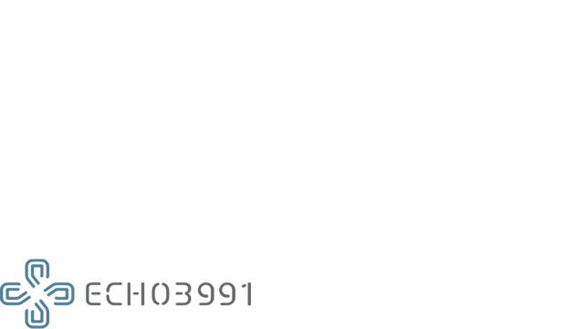 ECHO3991 Logo