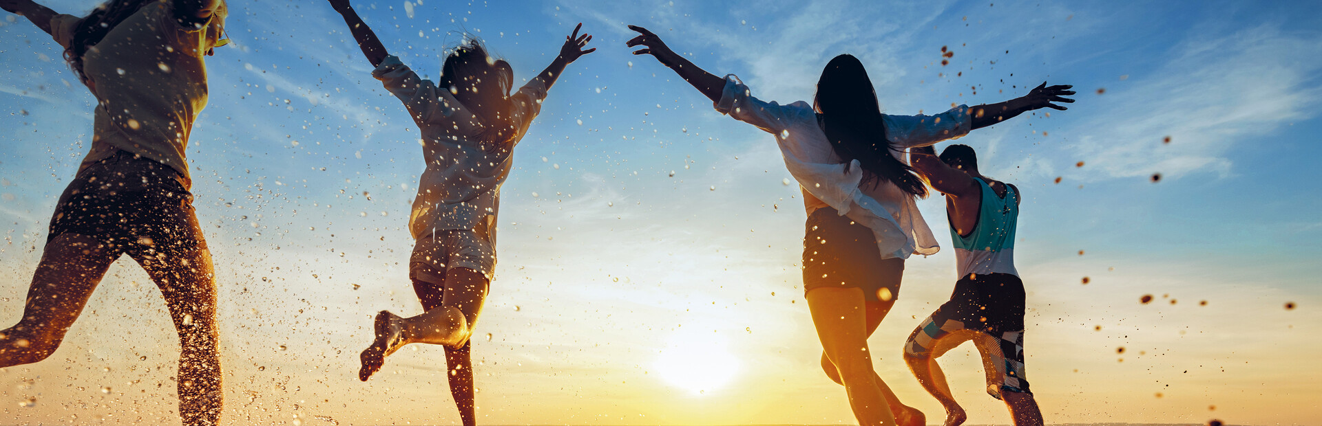 Movie Studio 2023 Platinum Steam Edition