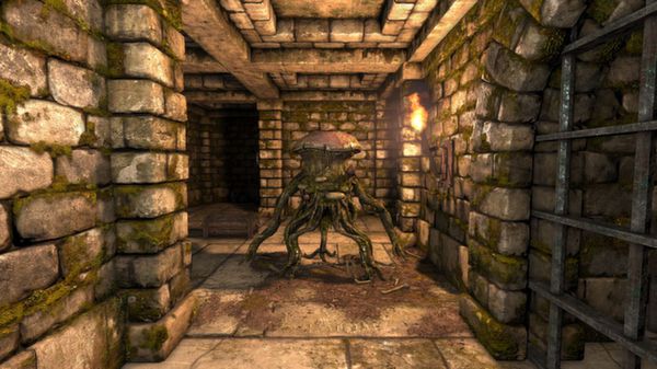 Скриншот из Legend of Grimrock