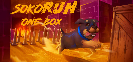 Can I Run Sokorun: One Box?