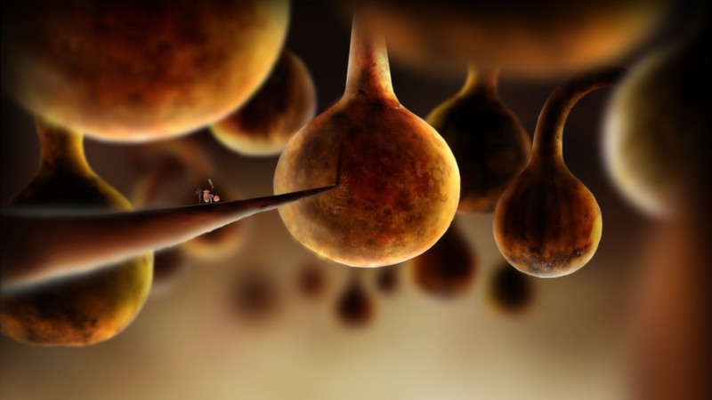 download botanicula steam
