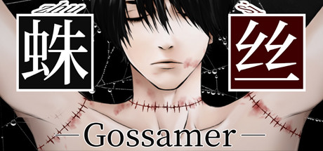 蛛丝-Gossamer cover art