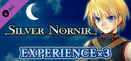 Experience x3 - Silver Nornir cover art