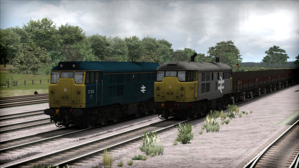 Скриншот из Train Simulator: BR Class 31 Freight Loco Add-On