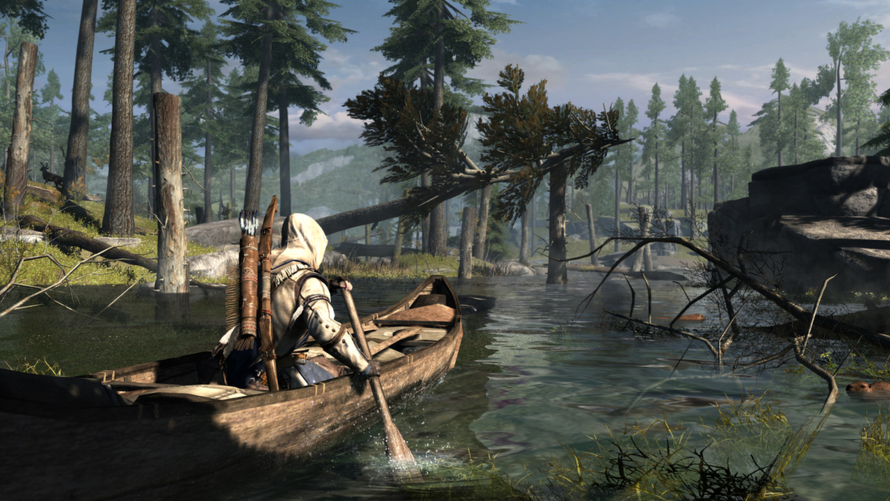 PC - Assassins Creed III - waz