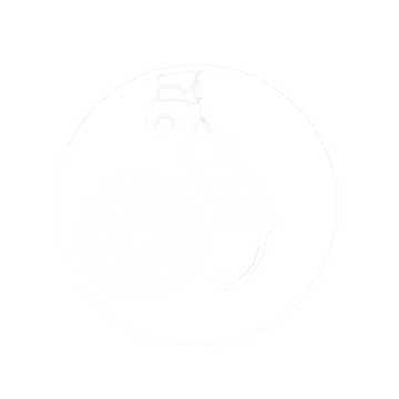 Ultimate Zombie Death Ball Logo