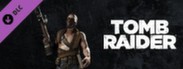 Tomb Raider: Scavenger Bandit