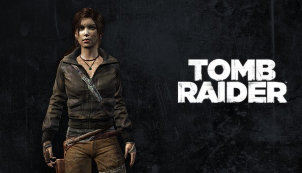 Tomb raider aviatrix skin