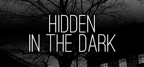 Hidden in the Dark cover art