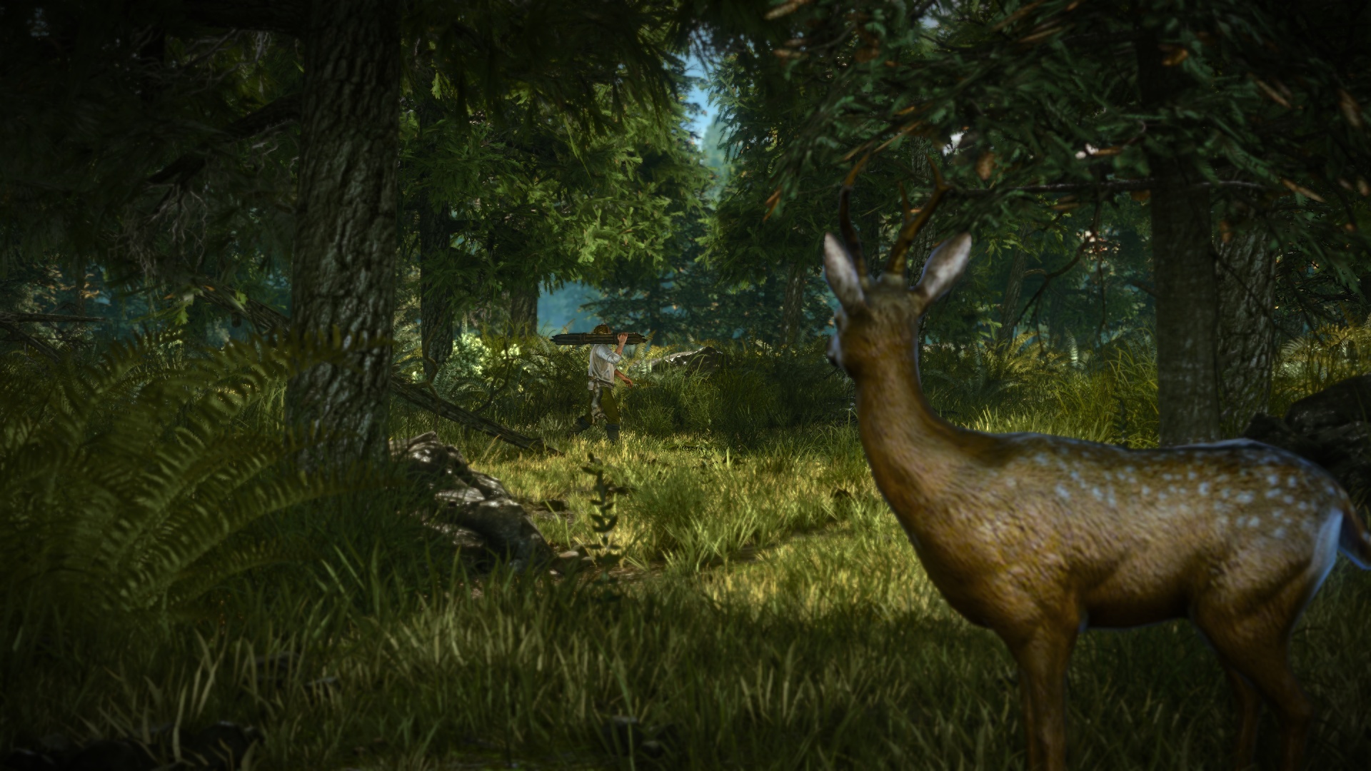 The Witcher 2: Assassins of Kings Enhanced Edition screenshot