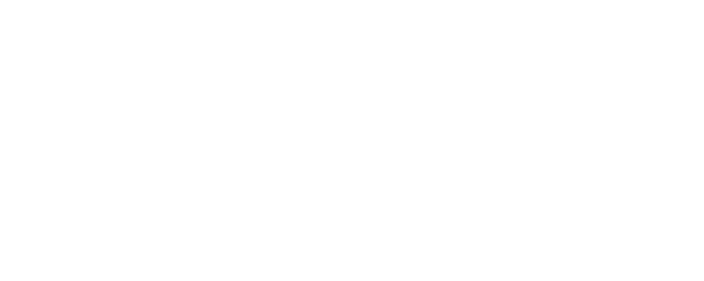 Steel Guardian Logo