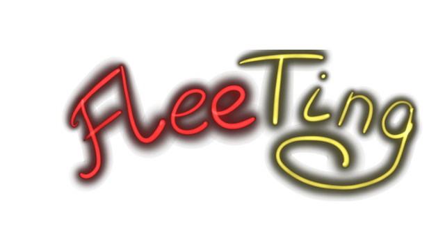 FleeTing Logo