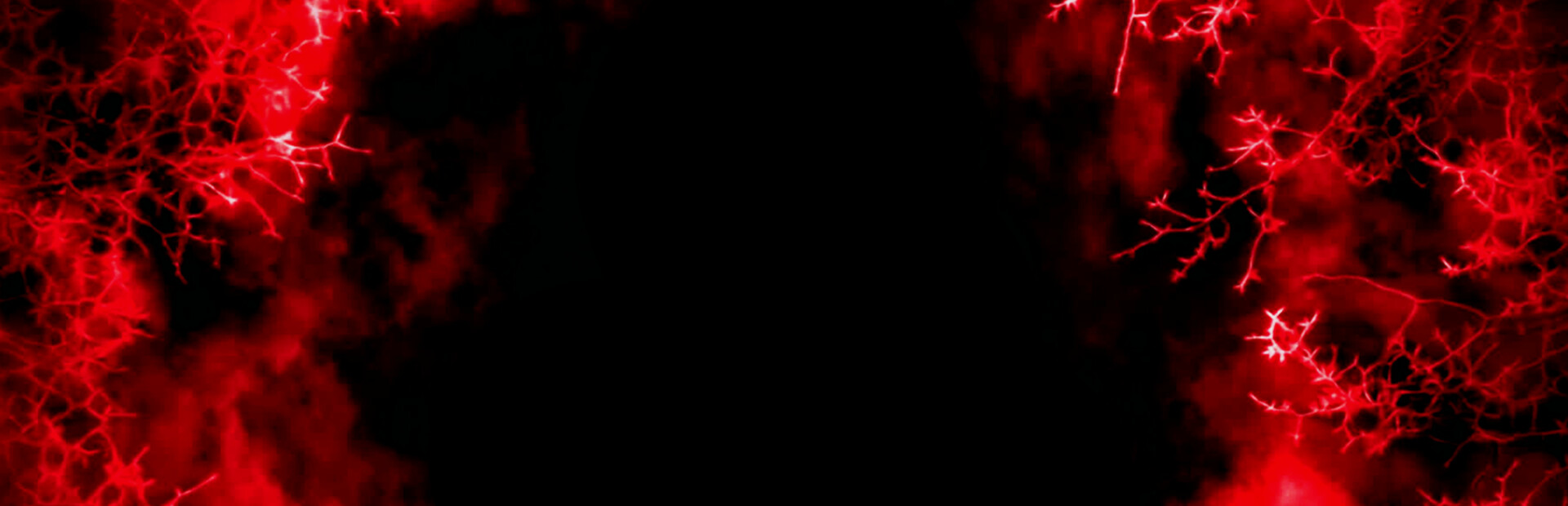 Over-Run (The Day The World Ended)