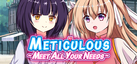 Meticulous～Meet All Your Needs❤️ cover art