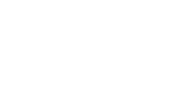 RaceRoom Racing Experience Logo