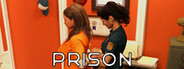 Prison System Requirements