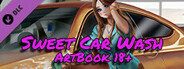 Sweet Car Wash - Artbook 18+