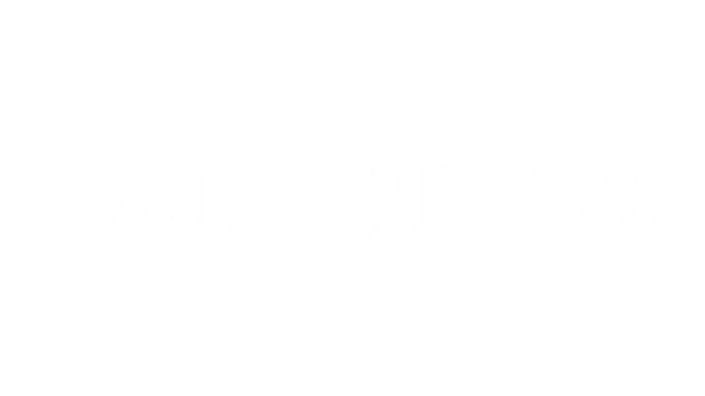 The War in Chiapas Logo