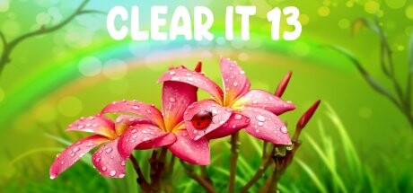 ClearIt 13 cover art