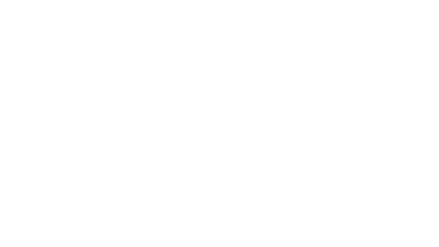Distorted Echos Logo