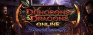 Dungeons & Dragons Online: Shadowfell Conspiracy Standard Edition