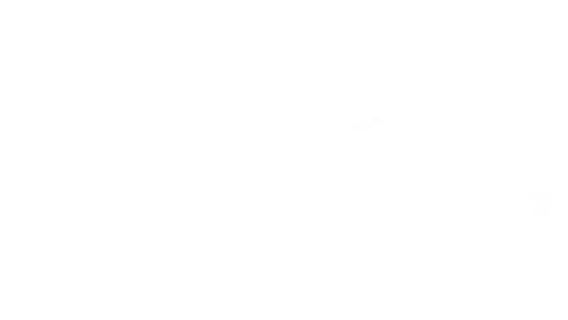 Polestar Logo