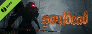 Souldead Demo